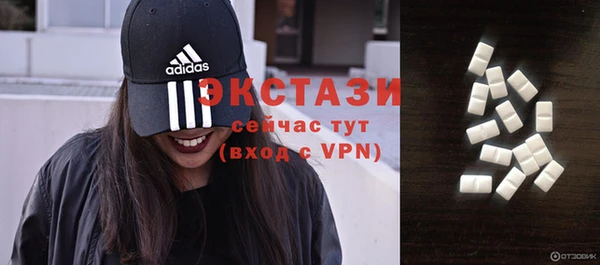 дживик Вязьма