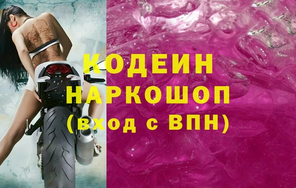 дживик Вязьма