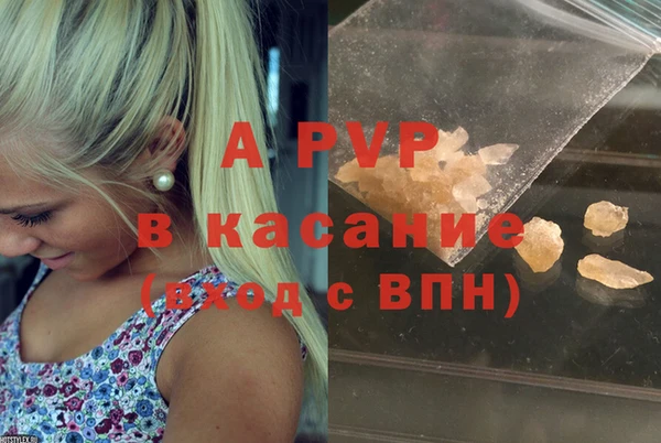 дживик Вязьма