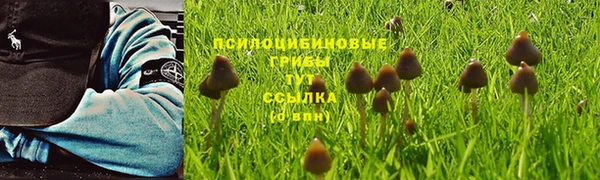 МДМА Вяземский
