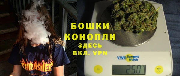 дживик Вязьма
