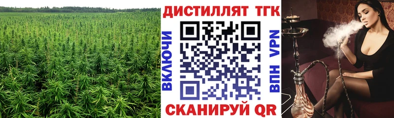 ссылка на мегу вход  продажа наркотиков  Моршанск  Дистиллят ТГК вейп с тгк 